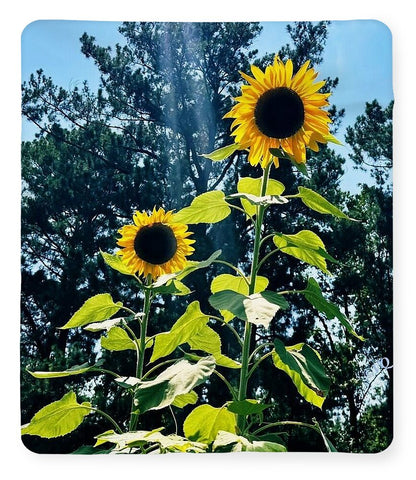 Sunflowers Reaching Towards the Sky - Blanket