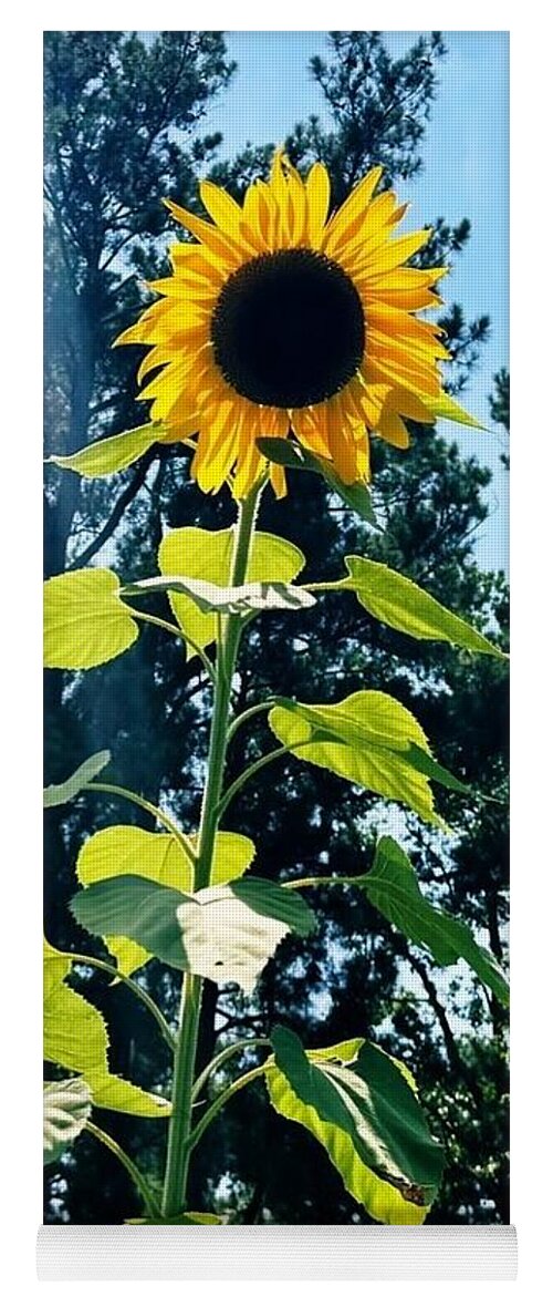 Sunflowers Reaching Towards the Sky - Yoga Mat