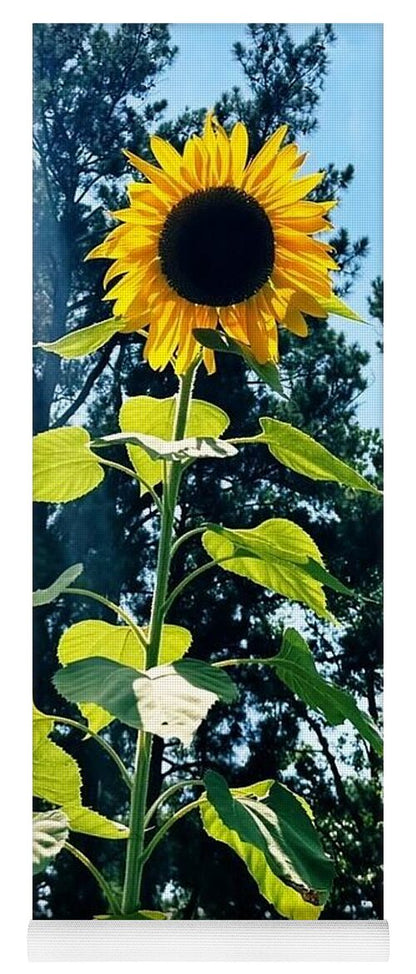 Sunflowers Reaching Towards the Sky - Yoga Mat