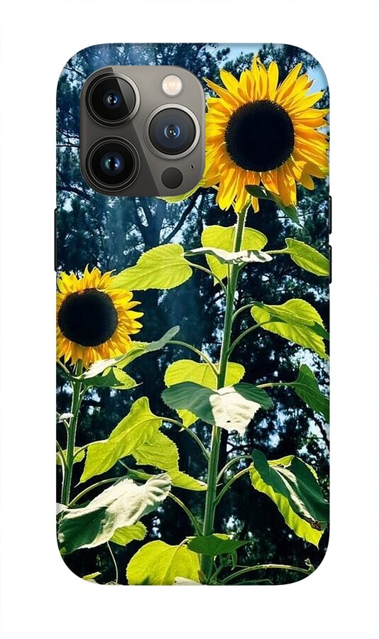Sunflowers Reaching Towards the Sky - Phone Case
