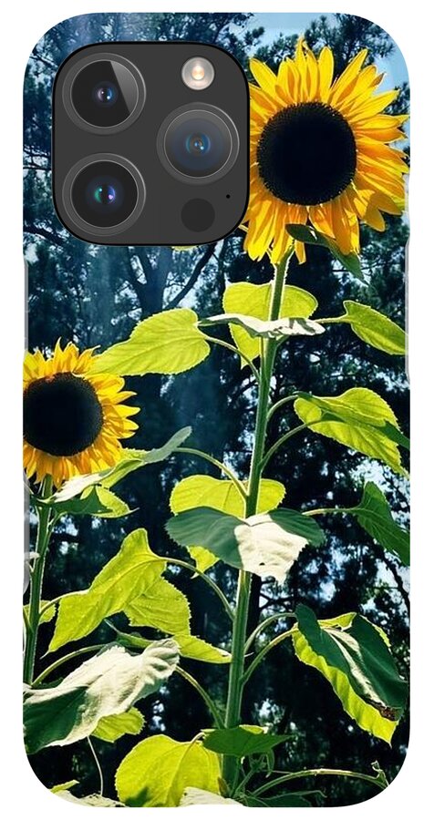 Sunflowers Reaching Towards the Sky - Phone Case