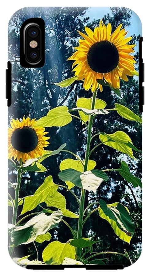 Sunflowers Reaching Towards the Sky - Phone Case