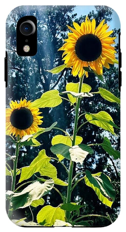 Sunflowers Reaching Towards the Sky - Phone Case