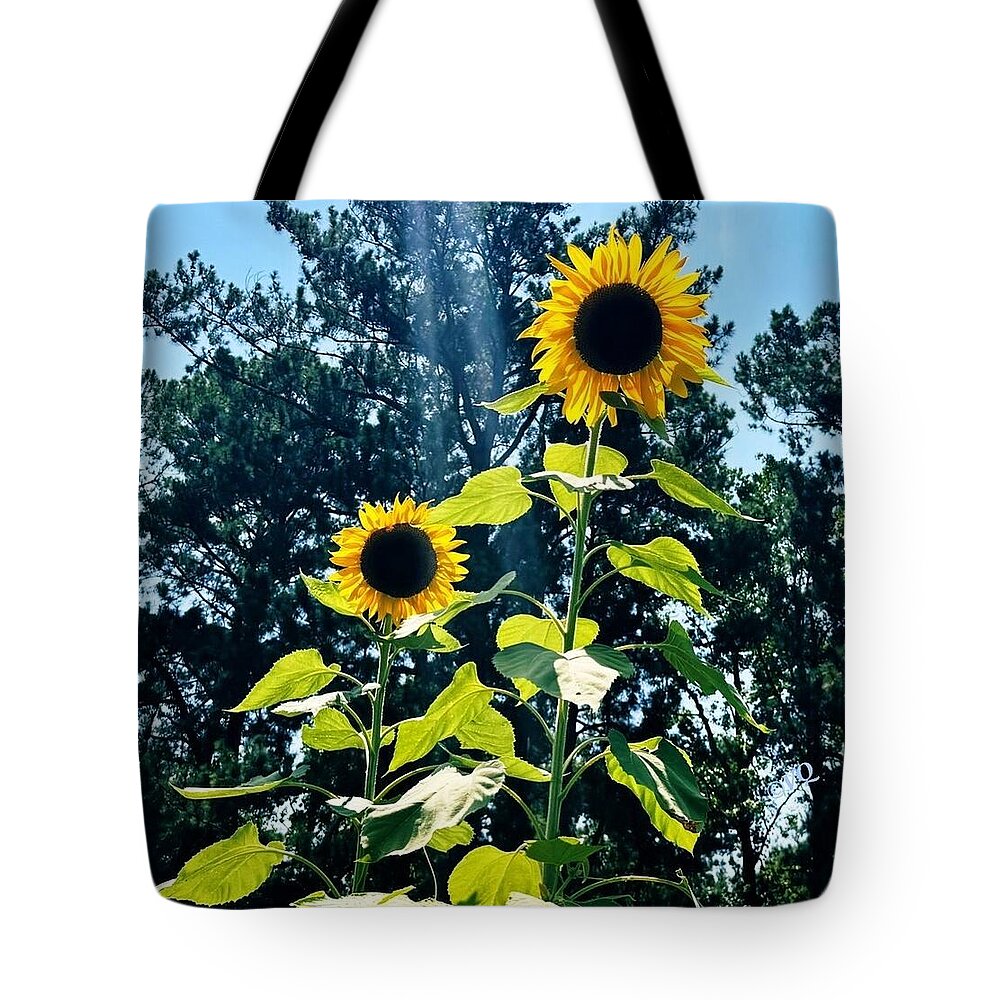 Sunflowers Reaching Towards the Sky - Tote Bag
