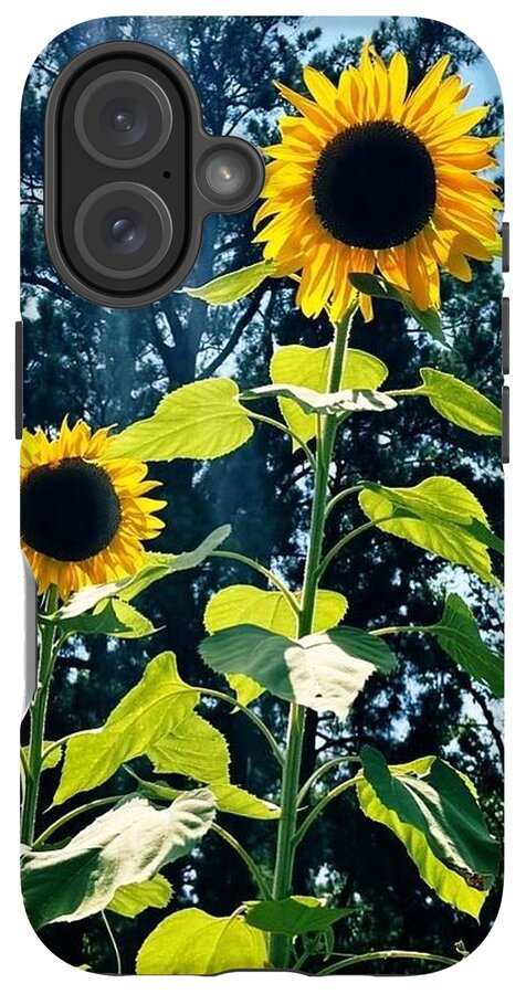 Sunflowers Reaching Towards the Sky - Phone Case