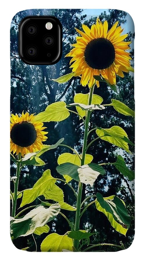 Sunflowers Reaching Towards the Sky - Phone Case