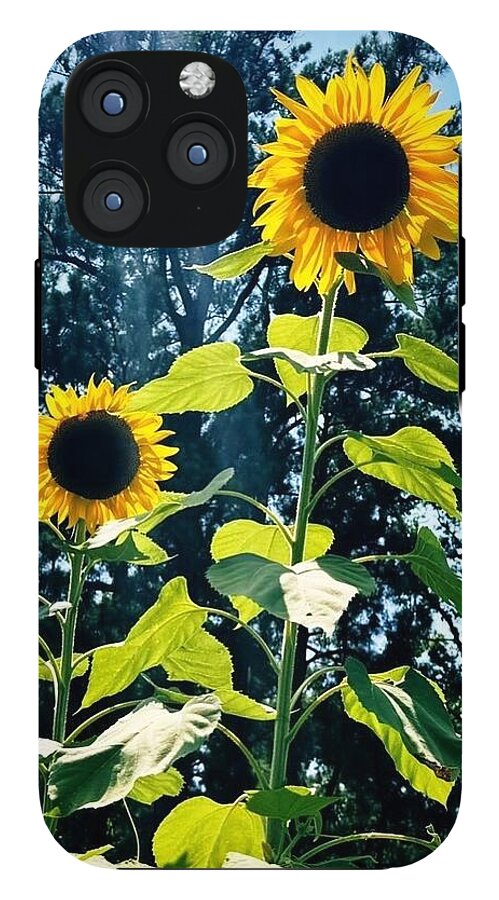 Sunflowers Reaching Towards the Sky - Phone Case
