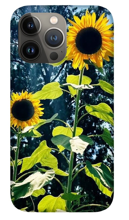 Sunflowers Reaching Towards the Sky - Phone Case