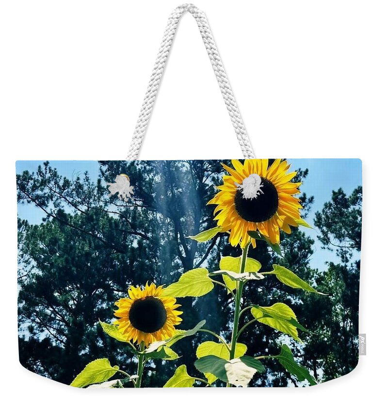 Sunflowers Reaching Towards the Sky - Weekender Tote Bag