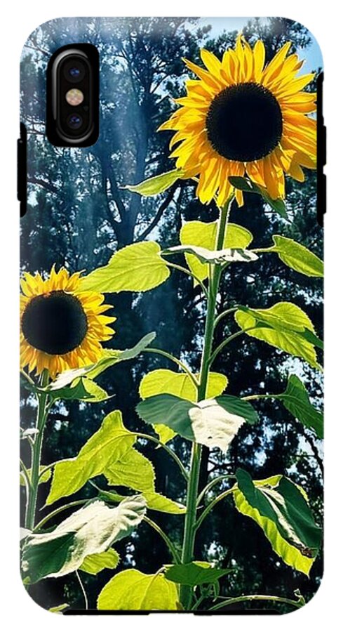 Sunflowers Reaching Towards the Sky - Phone Case