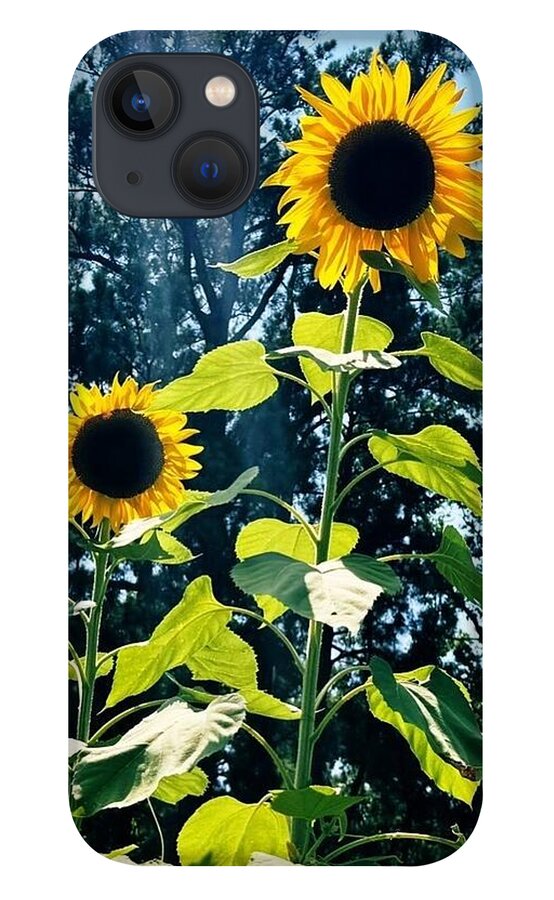 Sunflowers Reaching Towards the Sky - Phone Case