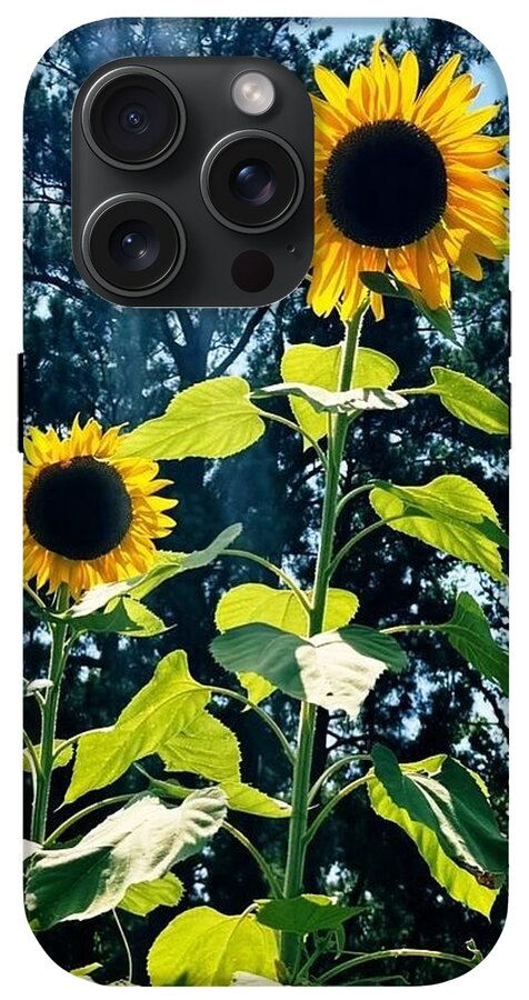 Sunflowers Reaching Towards the Sky - Phone Case
