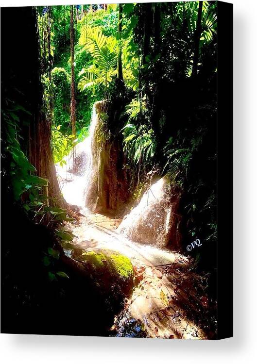 Sunlit Jungle Waterfall - Canvas Print