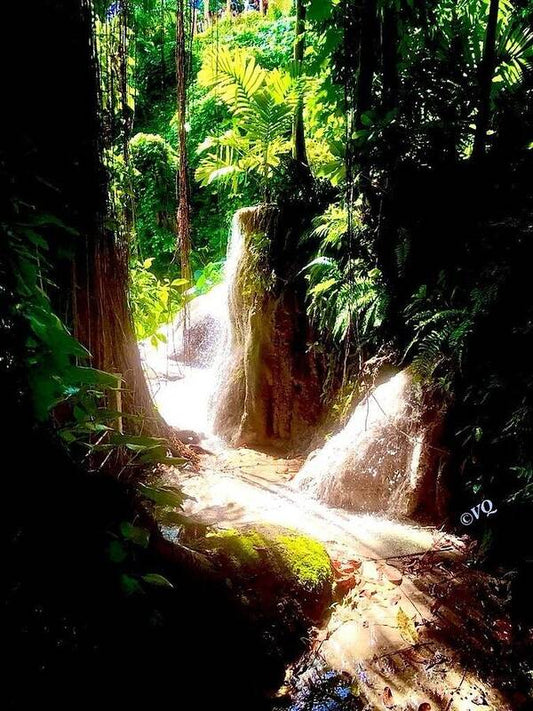 Sunlit Jungle Waterfall - Art Print