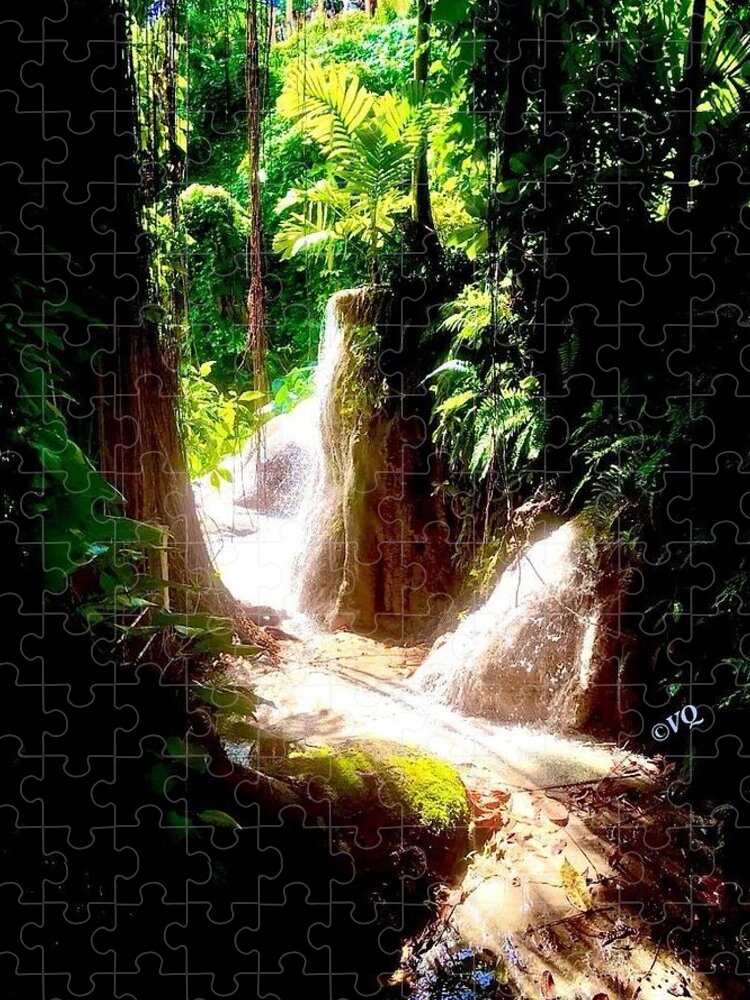 Sunlit Jungle Waterfall - Puzzle