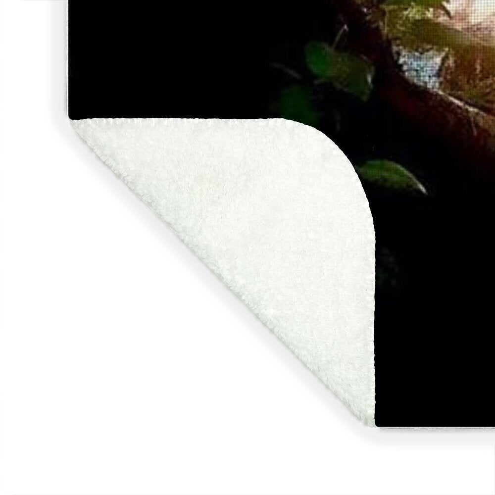 Sunlit Jungle Waterfall - Blanket