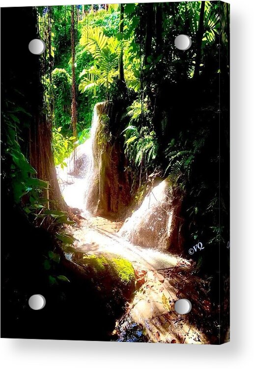 Sunlit Jungle Waterfall - Acrylic Print