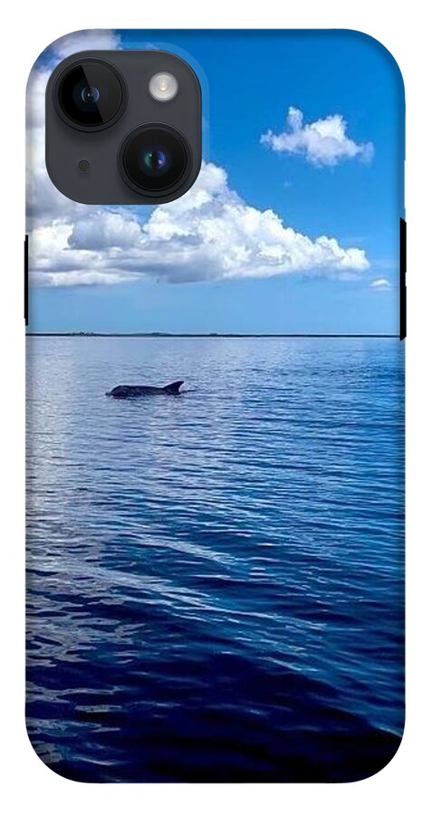 Tranquil Waters with Dolphin - Phone Case