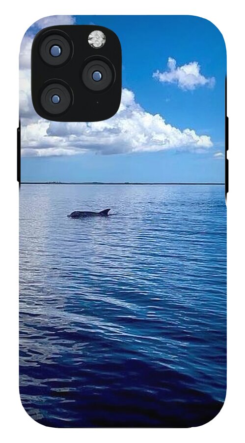 Tranquil Waters with Dolphin - Phone Case