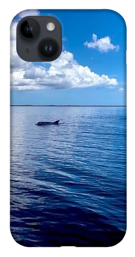 Tranquil Waters with Dolphin - Phone Case