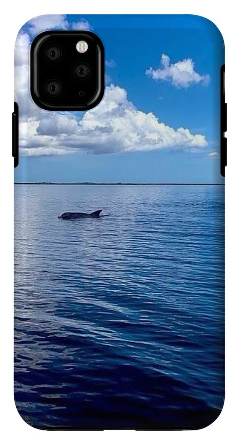 Tranquil Waters with Dolphin - Phone Case