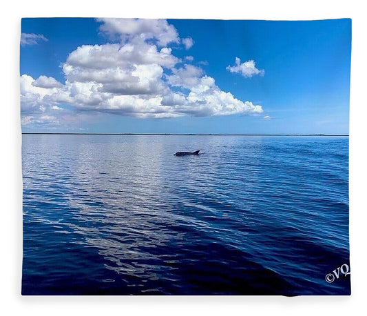Tranquil Waters with Dolphin - Blanket