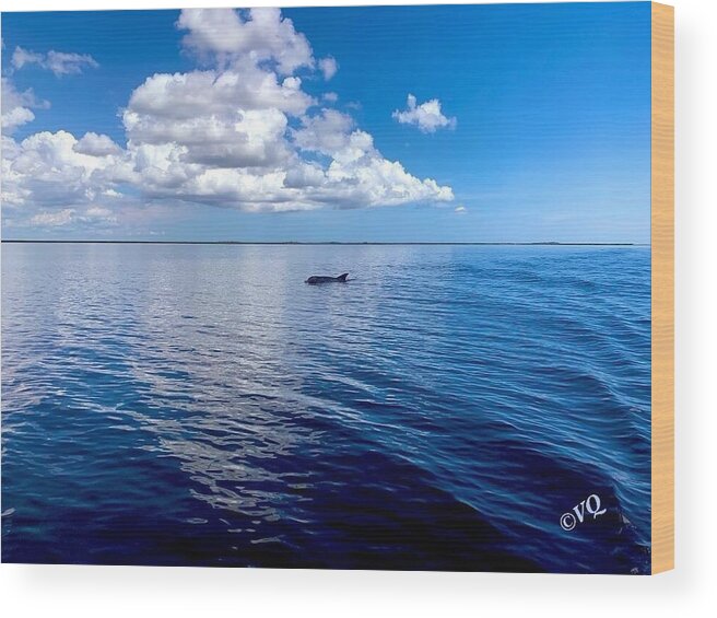 Tranquil Waters with Dolphin - Wood Print