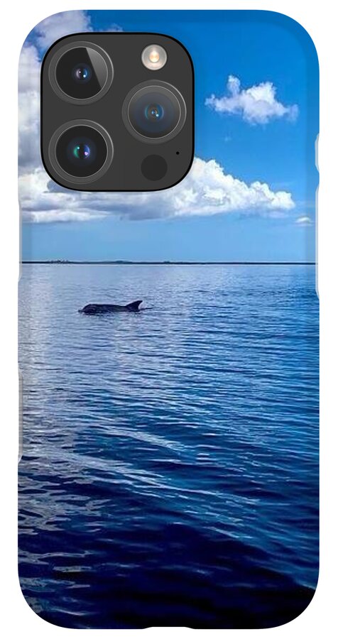 Tranquil Waters with Dolphin - Phone Case