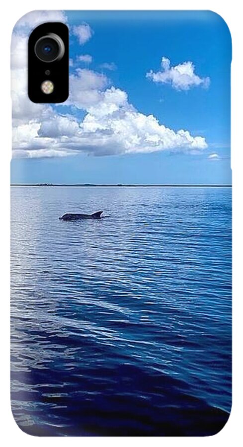 Tranquil Waters with Dolphin - Phone Case