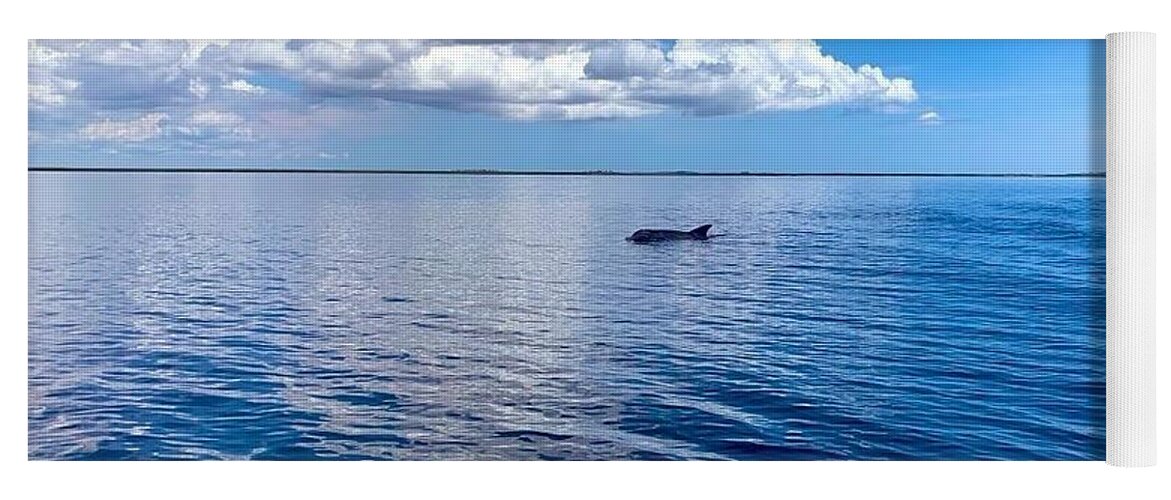 Tranquil Waters with Dolphin - Yoga Mat