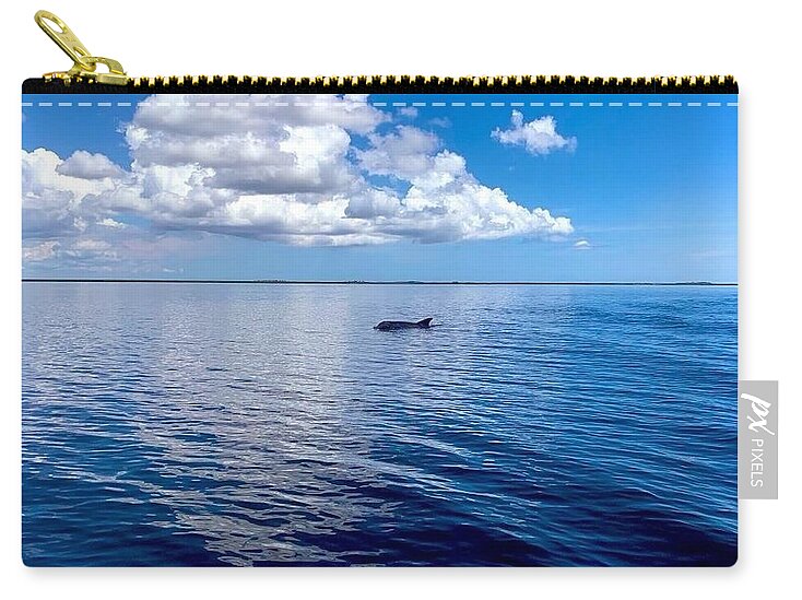 Tranquil Waters with Dolphin - Zip Pouch