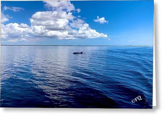Tranquil Waters with Dolphin - Greeting Card