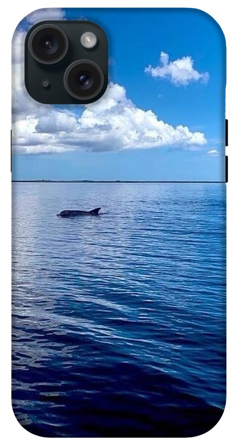 Tranquil Waters with Dolphin - Phone Case