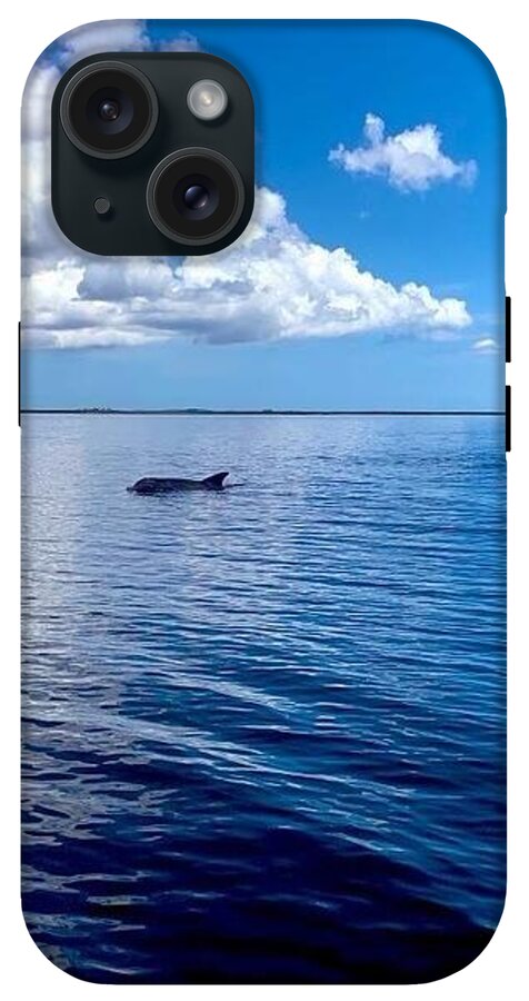 Tranquil Waters with Dolphin - Phone Case