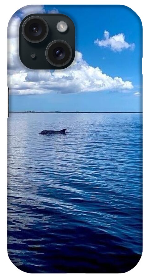 Tranquil Waters with Dolphin - Phone Case