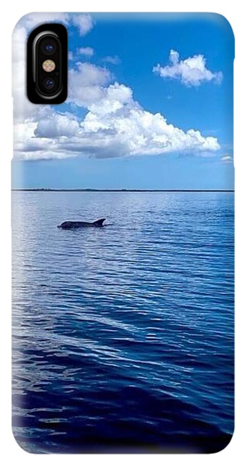 Tranquil Waters with Dolphin - Phone Case