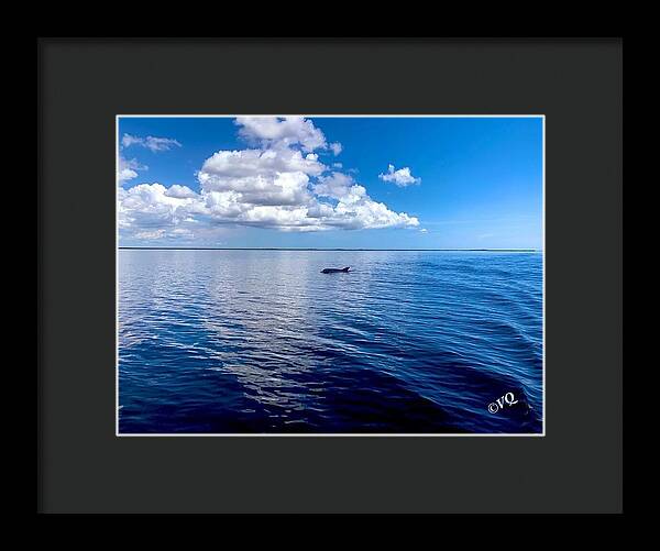 Tranquil Waters with Dolphin - Framed Print