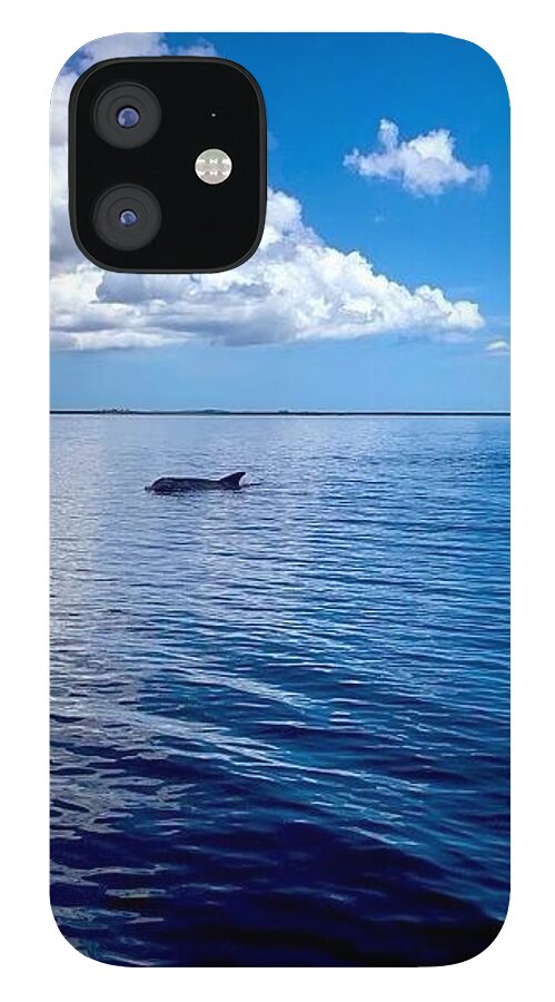 Tranquil Waters with Dolphin - Phone Case