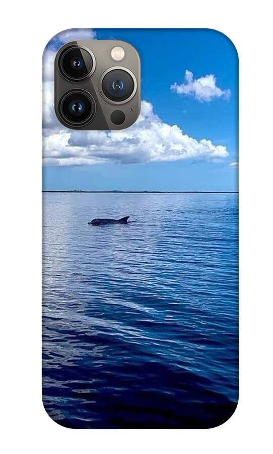 Tranquil Waters with Dolphin - Phone Case