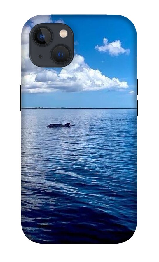 Tranquil Waters with Dolphin - Phone Case