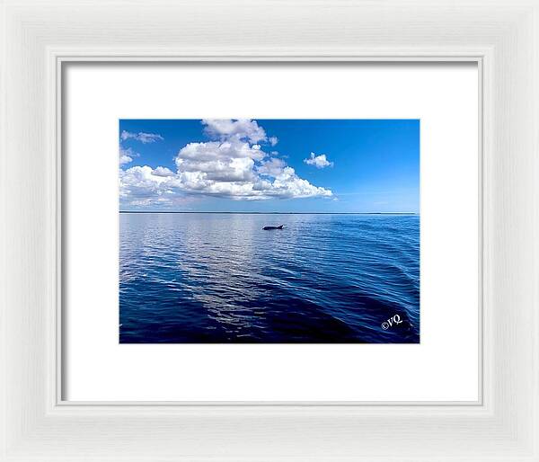 Tranquil Waters with Dolphin - Framed Print