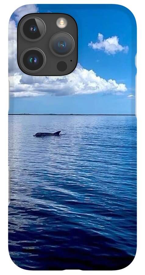 Tranquil Waters with Dolphin - Phone Case