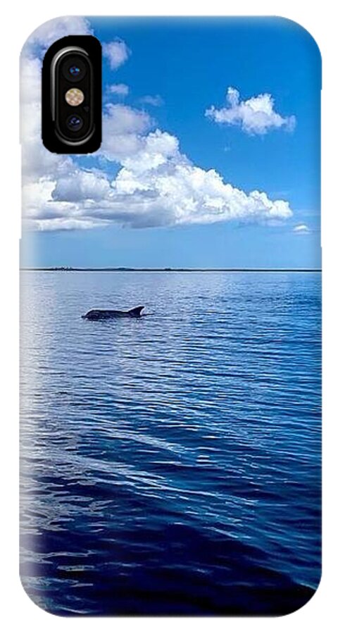 Tranquil Waters with Dolphin - Phone Case