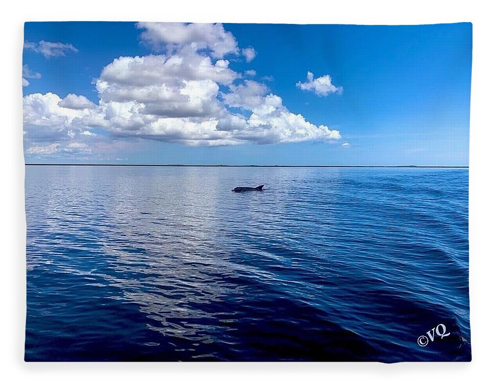 Tranquil Waters with Dolphin - Blanket