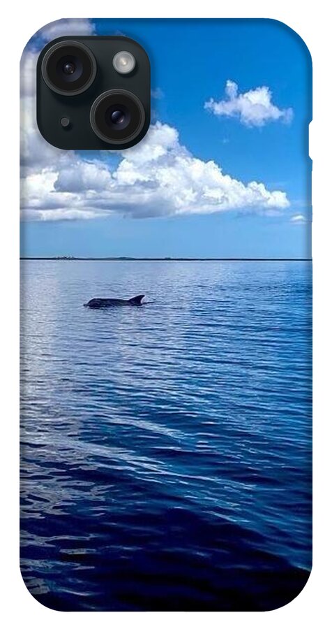 Tranquil Waters with Dolphin - Phone Case