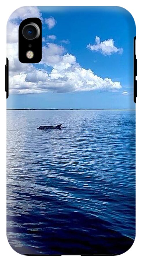 Tranquil Waters with Dolphin - Phone Case