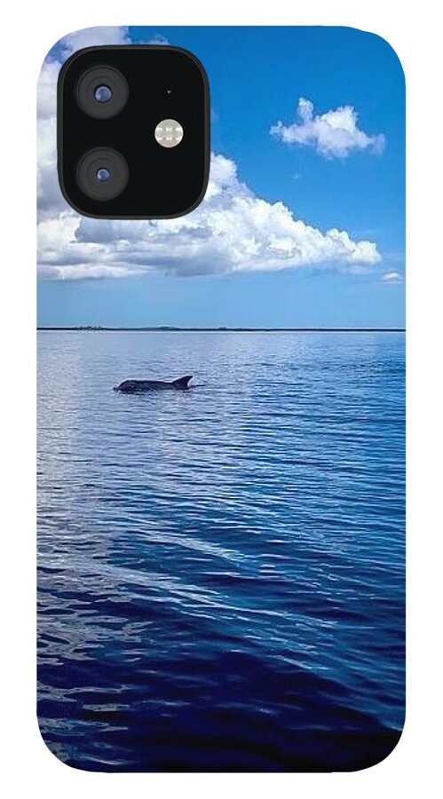 Tranquil Waters with Dolphin - Phone Case