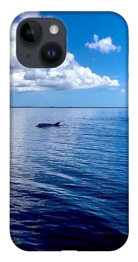 Tranquil Waters with Dolphin - Phone Case