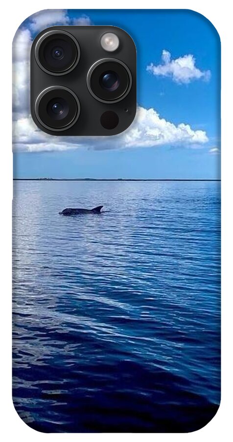 Tranquil Waters with Dolphin - Phone Case