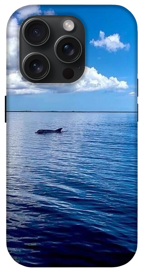 Tranquil Waters with Dolphin - Phone Case